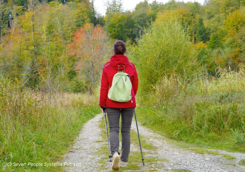 Mindfulness Walks