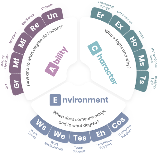 Adaptability Quotient - ACE Model - Seven People Systems
