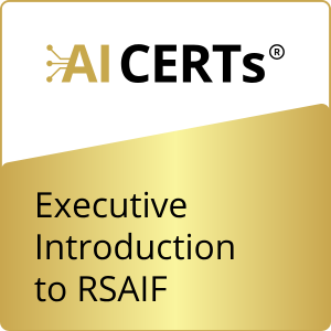 Executive Introduction to RSAIF