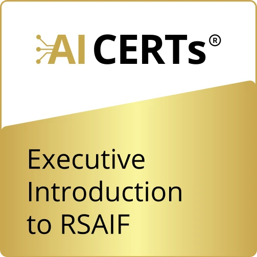 Executive Introduction to RSAIF